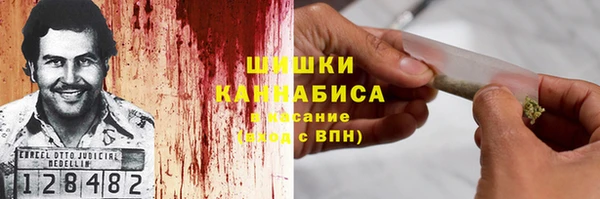 ГАЛЛЮЦИНОГЕННЫЕ ГРИБЫ Магас