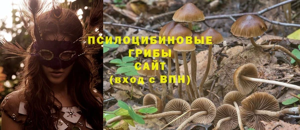 ГАЛЛЮЦИНОГЕННЫЕ ГРИБЫ Магас
