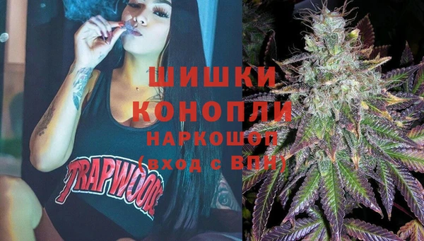 ГАЛЛЮЦИНОГЕННЫЕ ГРИБЫ Магас